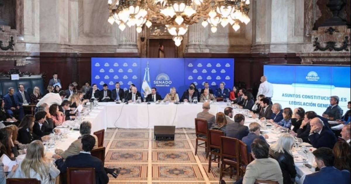 El Senado dio dictamen a la ley Hojarasca y quedó cerca de su sanción definitiva | El Dia