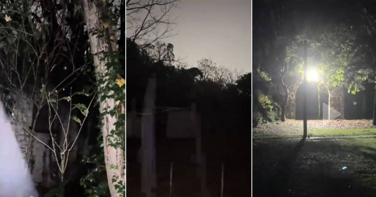 Ingresaron de madrugada al ex Zoológico de La Plata y compartieron el recorrido en TikTok | El Dia
