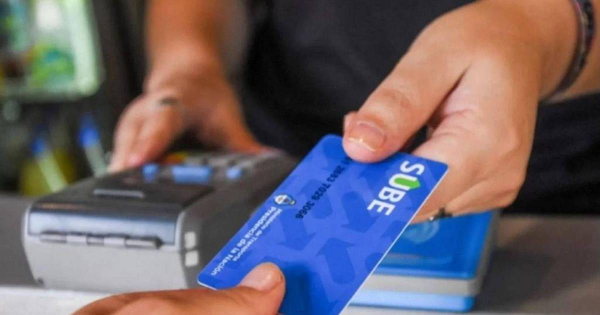 Crece la pesadilla de pasajeros con discapacidad para viajar en micro | El Dia
