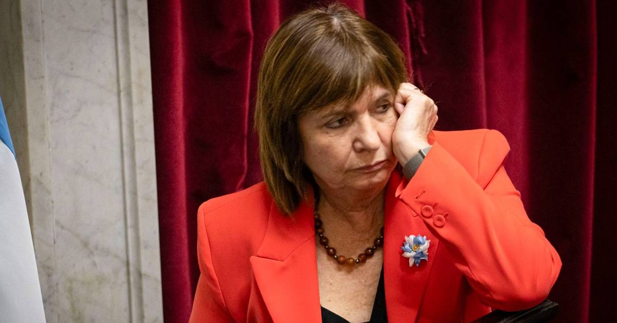 Patricia Bullrich no irá a la reunión de senadores libertarios convocada por Adorni | El Dia