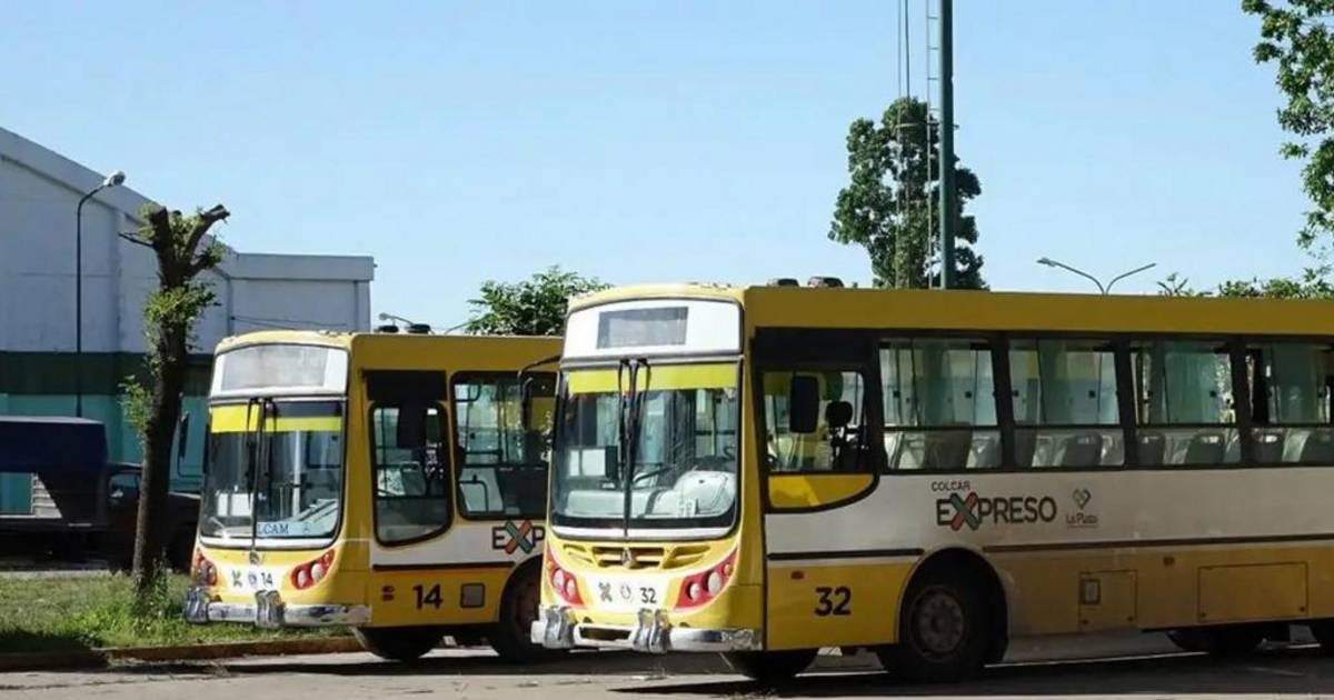 En Correas solo cuentan con seis micros por día | El Dia