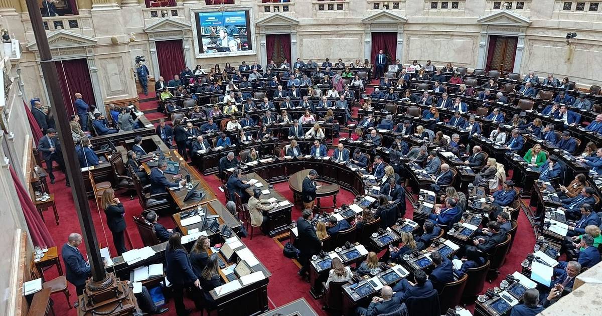 Diputados ya sesiona y busca avanzar con el Súper RIGI | El Dia