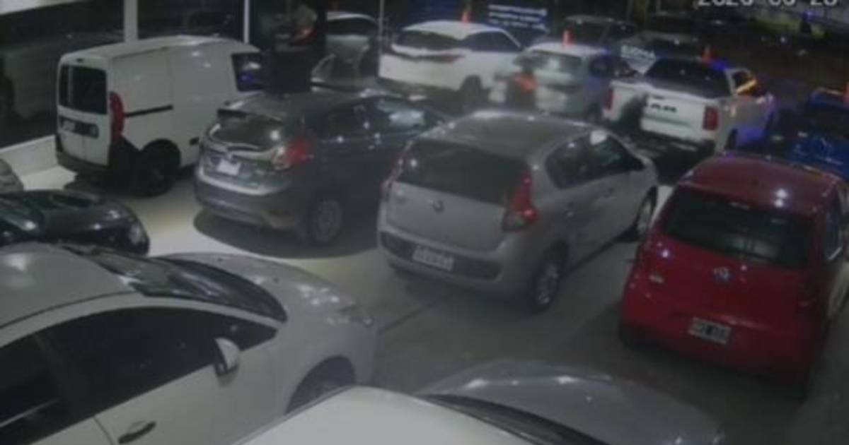 Una banda juvenil robó en una agencia de autos | El Dia