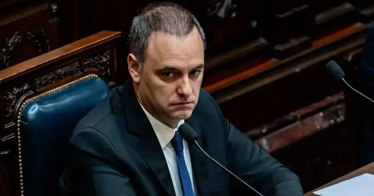 Denuncian que Adorni gastó casi 6 millones de pesos en videojuegos con tarjetas de sus empleados | El Dia