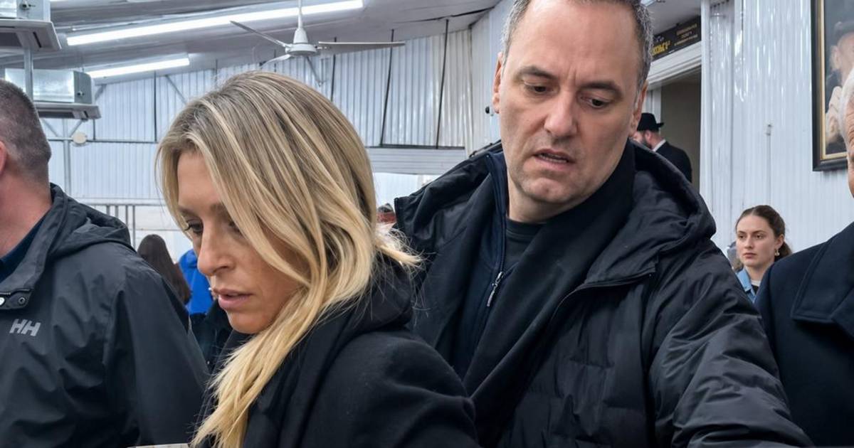 Más de cien días de revelaciones que terminaron con la caída de Adorni | El Dia