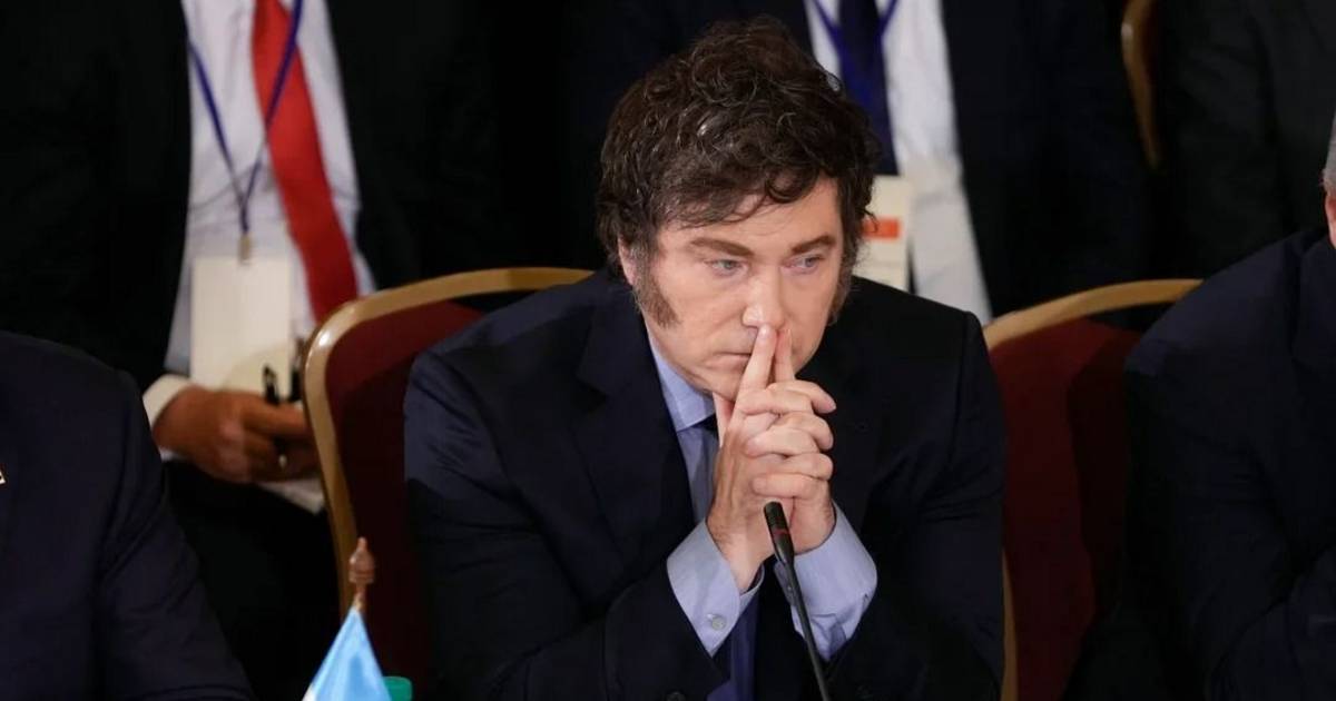 Milei no asistirá a la Cumbre de Mercosur en Paraguay | El Dia