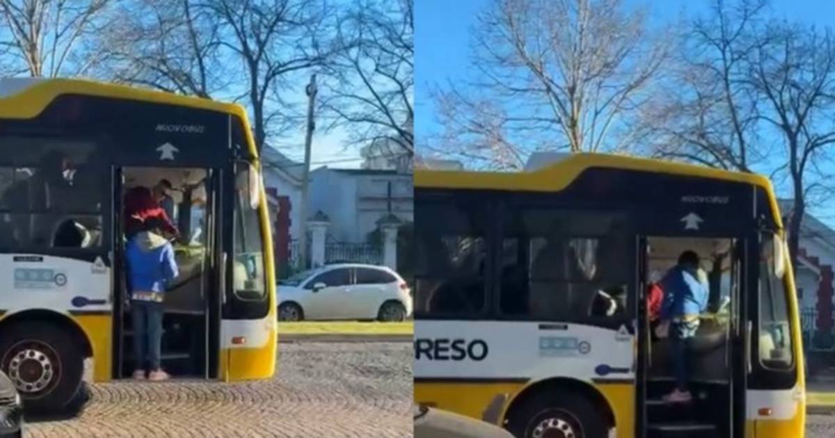 VIDEO. A los golpes en un micro de La Plata por el valor de un boleto | El Dia
