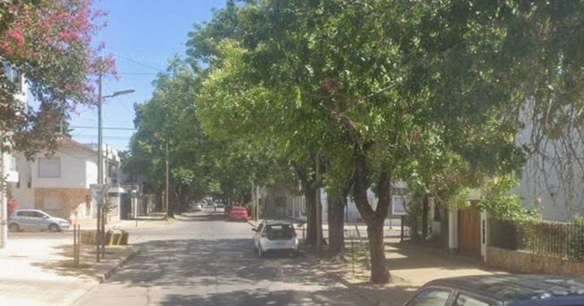 Dos ladrones despertaron a una jubilada de 79 años para asaltarla | El Dia