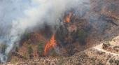 Incendios en las islas Canarias y Tenerife dejan 4.000 evacuados