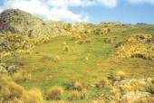 El Valle de traslasierra, ideal en esta parte del año