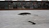 La Biblioteca de la UNLP con problemas desde el granizo