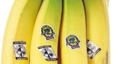Cultivan bananas para proteger el medio ambiente