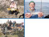 La barra de pesca al dia