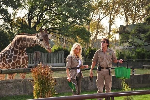 Locos sueltos en el zoo