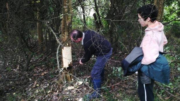 Vecinos movilizados para salvar el bosque nativo de Punta Indio
