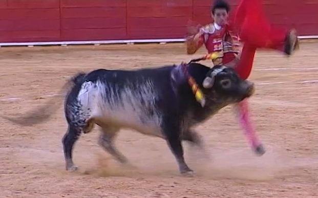 Conmueve a España la muerte de un torero en más de 30 años