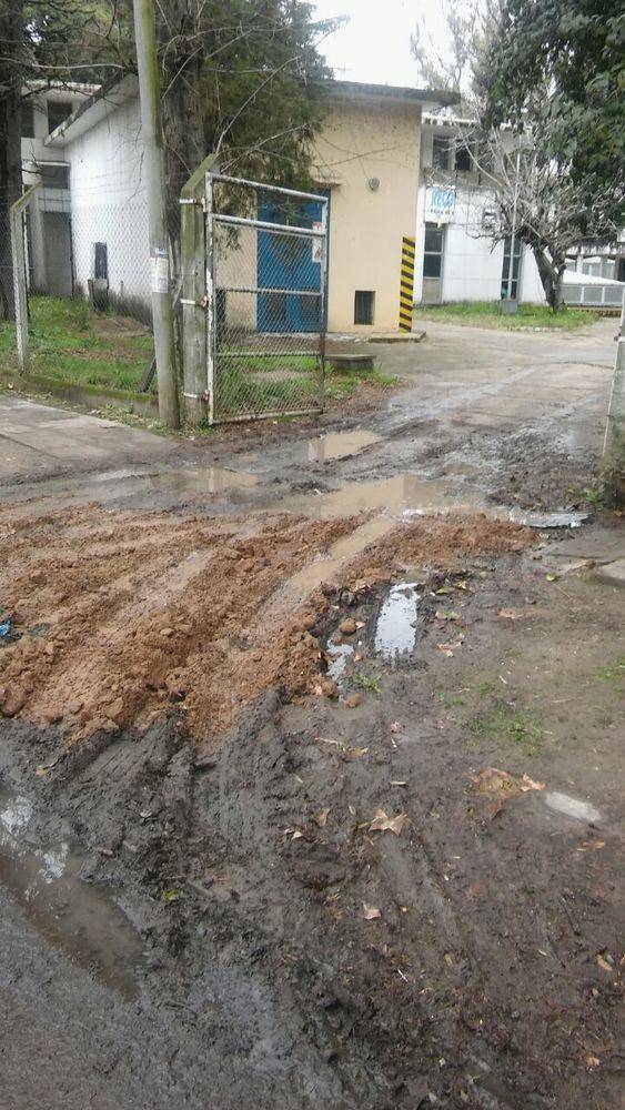 Denuncian mal estado de las veredas en el Bosque
