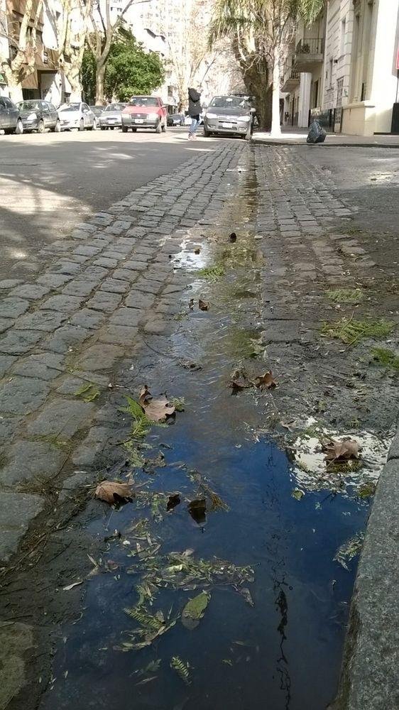 Vecinos de 4 y 54 denuncian 
desborde cloacal