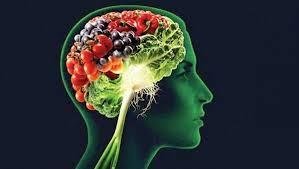 Expertos afirman que el cerebro recuerda qué alimentos son realmente nutritivos