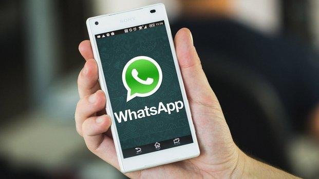Conectate con EL DIA a través de WhatsApp