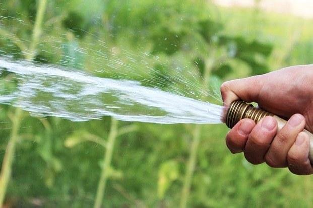 Detectan presencia de cannabis en red de 
agua potable en pequeño pueblo llamado Hugo