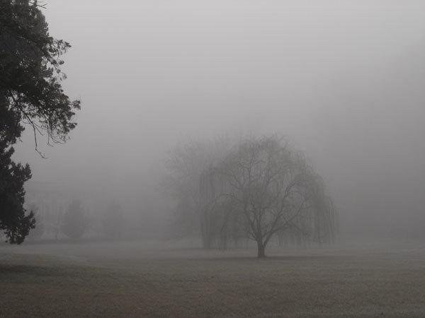 Miércoles con cielo parcialmente nublado