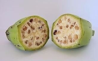 Así se veían algunas frutas y vegetales antes de la mano del hombre
