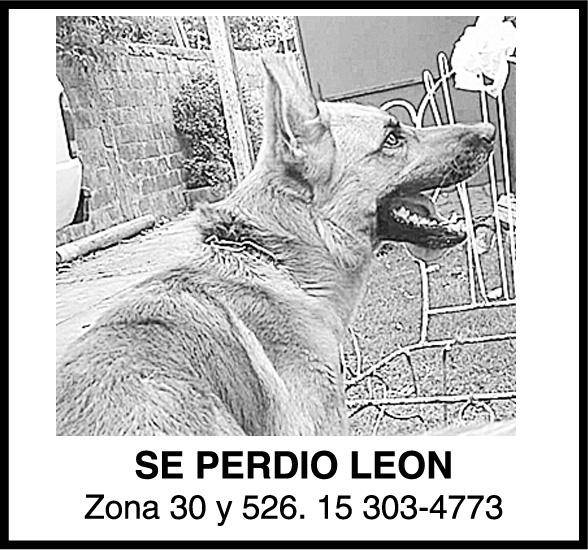 Extravios y hallazgos