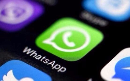 Conectate con EL DIA a través de Whatsapp