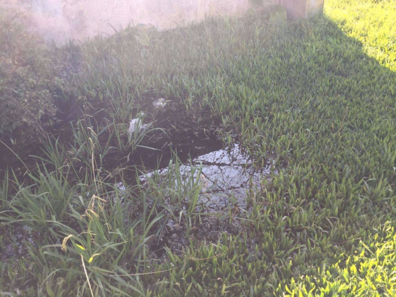 Reiterados reclamos por una pérdida de agua en 134 bis, 77 y 78