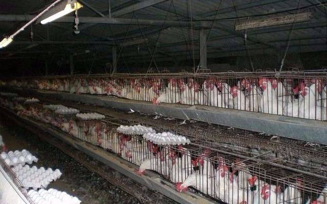 Promueven la “economía circular” para reducir costos y contaminación