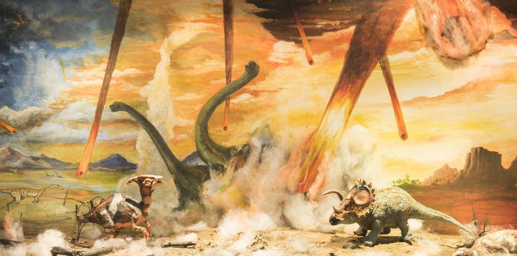 Por “aniquilación biológica”, aseguran que ya empezó la 6ª extinción
