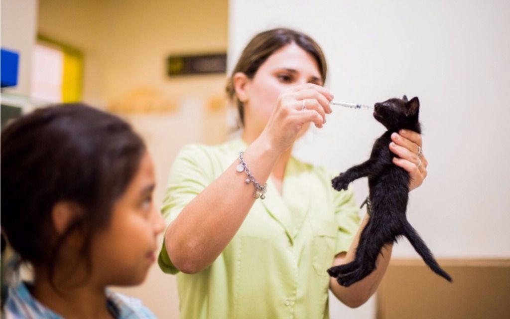 Continúa la atención en Zoonosis