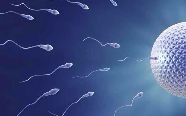 Afirman que los hombres producen la  mitad de espermatozoides que hace 40 años