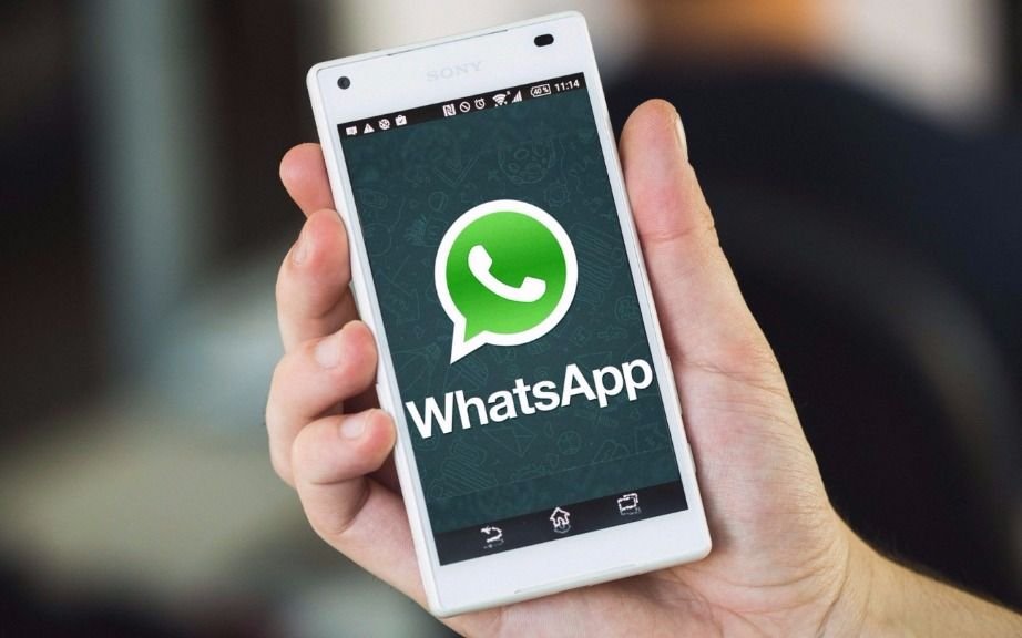Conectate con EL DIA a través de WhatsApp