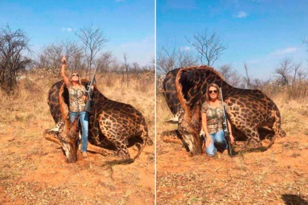 Repudio mundial a una norteamericana que mató a una jirafa negra por diversión