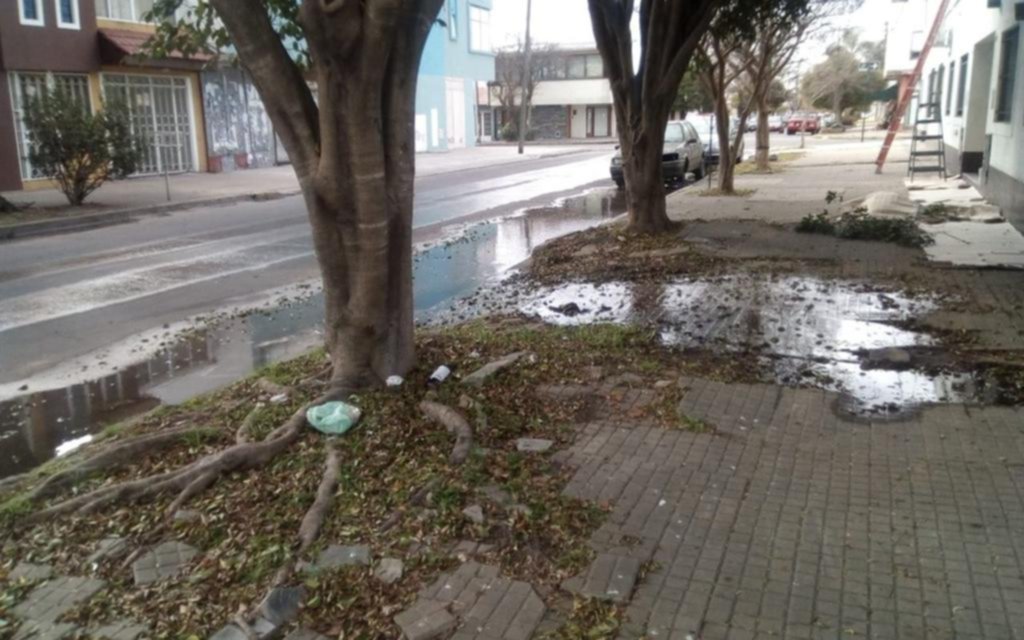 Un pantano en La Loma por una filtración de agua en la vereda de 43 entre 27 y 28