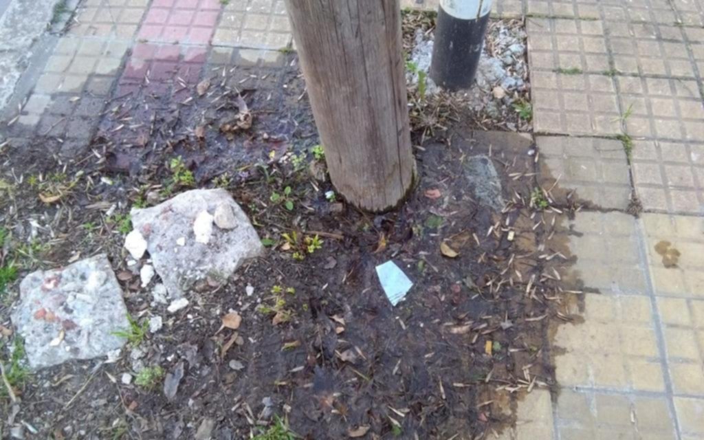 Quejas por un poste a punto de caerse en 42 y 24