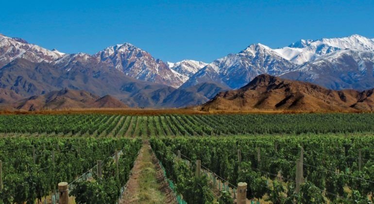 La patagonia crece en el sector vitivinícola