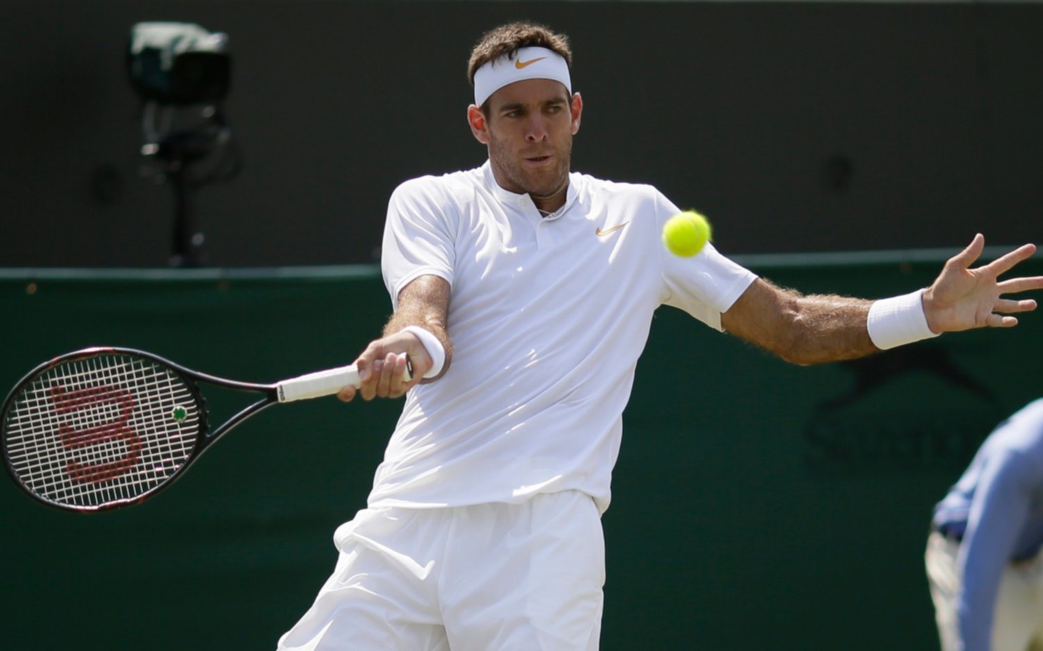 Delpo ganó y avanzó a octavos en Wimbledon