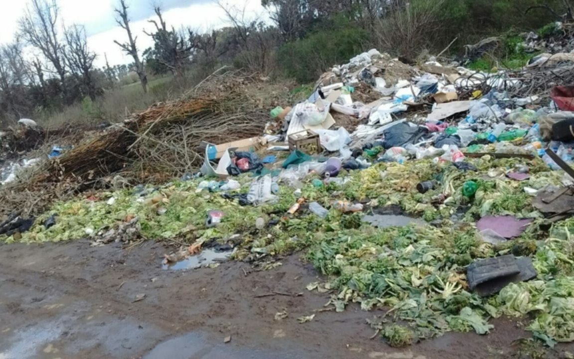 Vecinos denuncian basural en Lisandro Olmos