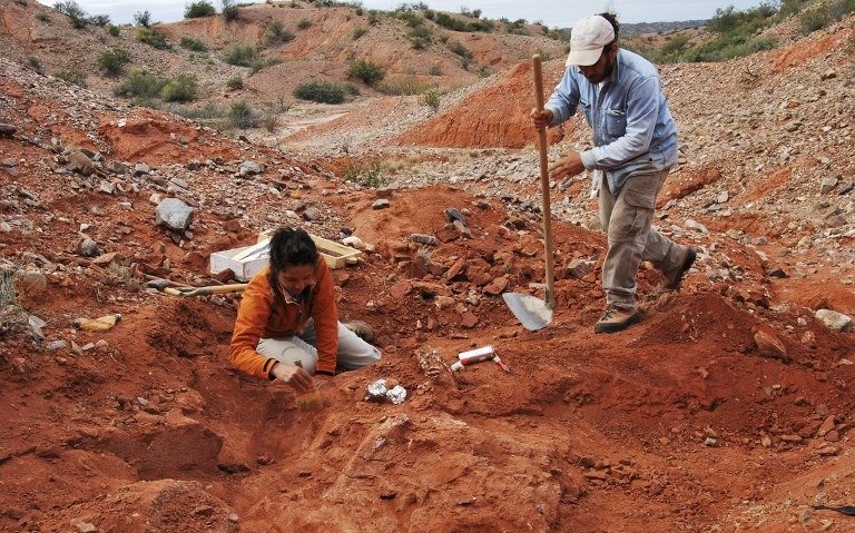 Descubren en Argentina un dinosaurio gigante de más de 200 millones de años