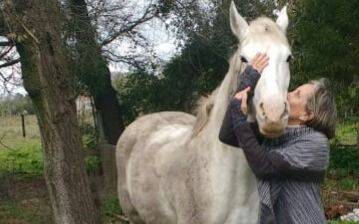 Apareció el caballo robado que se usa con pacientes de un centro terapéutico