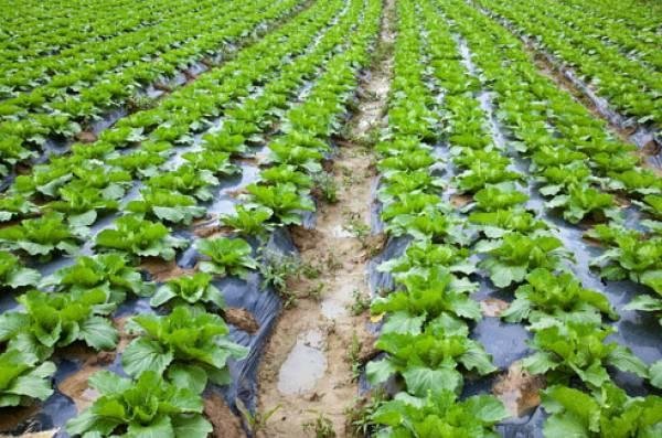 Analizaron la problemática del uso del agua en la zona productiva de Poblet y Oliden