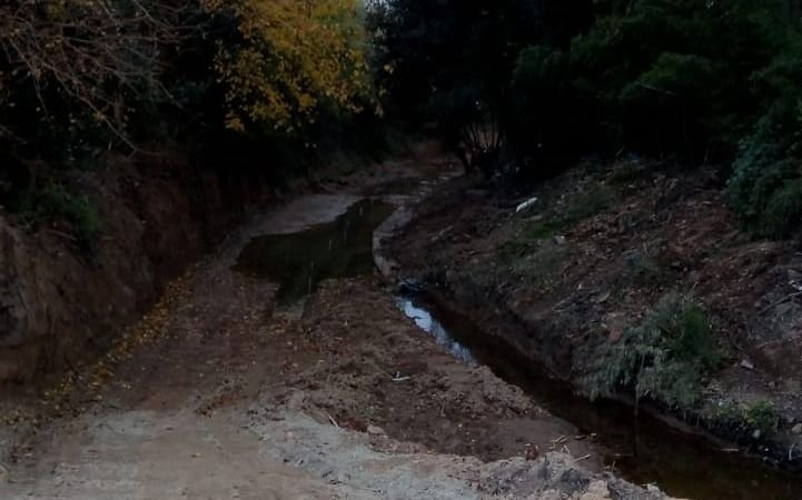 Denuncian que por obras en el arroyo Carnaval se están destruyendo raíces de árboles