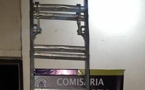 Insólito: un empleado municipal podaba un árbol y una vecina se enojó y le quitó la escalera