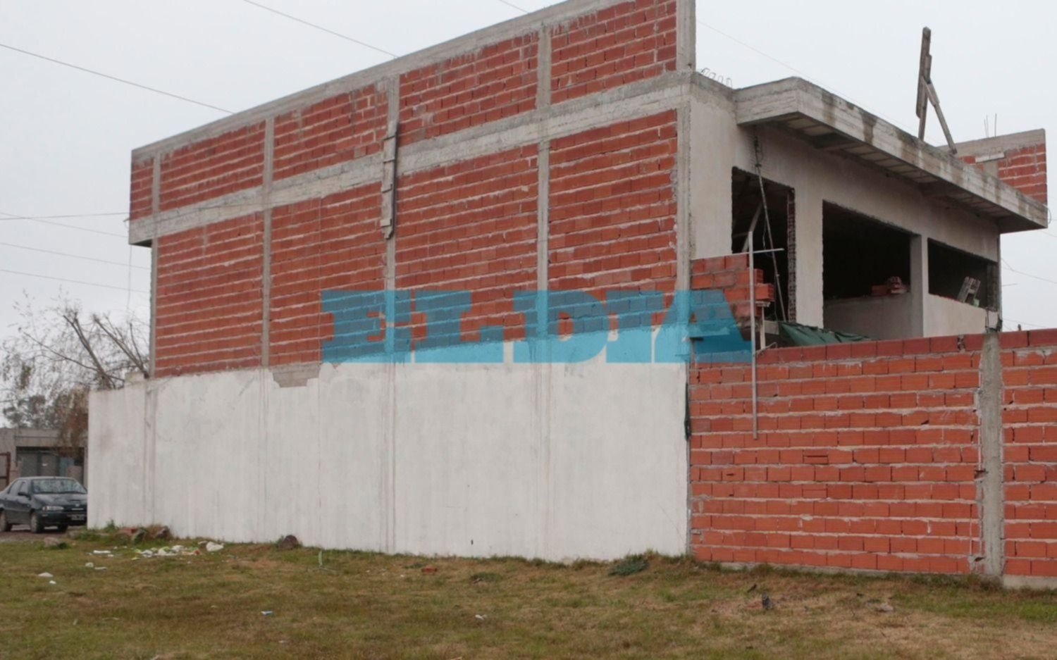 Sin límites: entraron a robar a una casa y  envenenaron a dos perros, en Romero