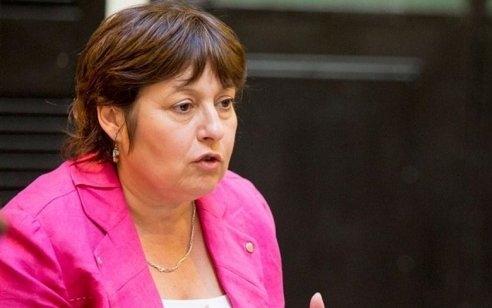 Ocaña: "las auditorias brindarán las respuestas que necesitamos como sociedad"