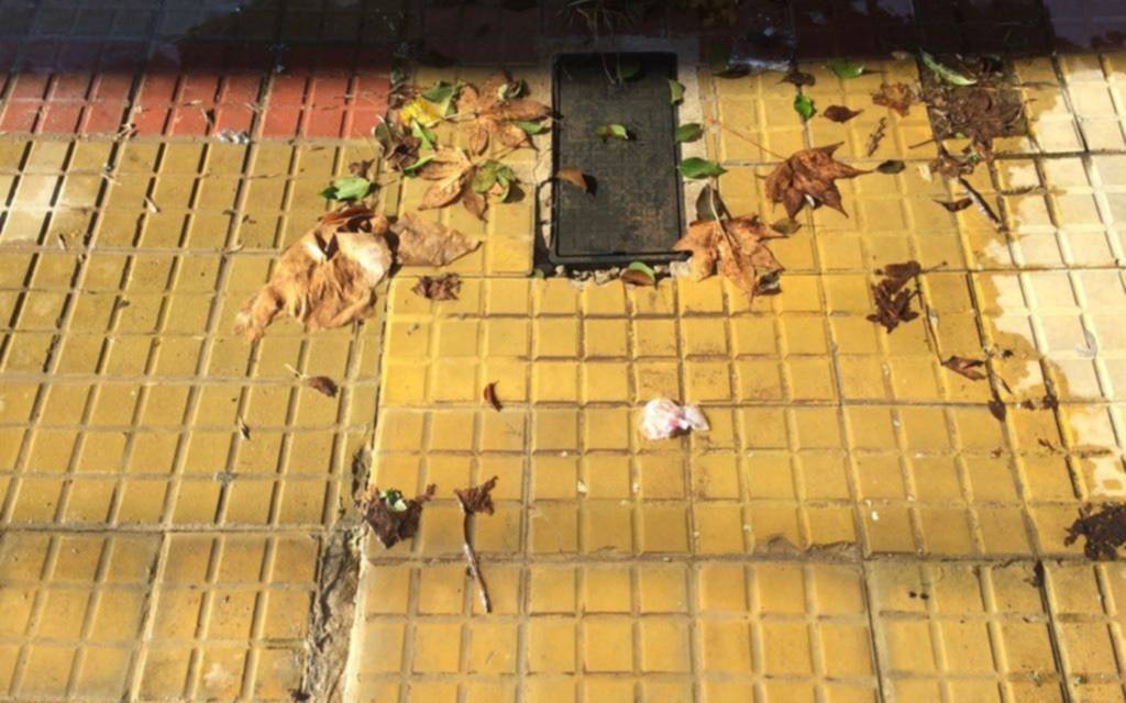 Hartazgo Vecinal en Plaza Matheu y 42 y 19 por pérdidas de agua