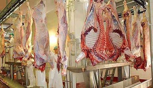 Histórica exportación de carne vacuna premium argentina al mercado japonés